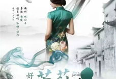 好一朵茉莉花电视剧,情感纠葛中的茉莉芬芳