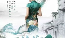 好一朵茉莉花电视剧,情感纠葛中的茉莉芬芳