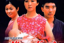 绝恋电视剧全集播放