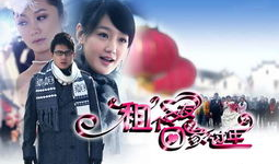 租个女友回家过年电视剧,温情治愈，暖冬爱情故事