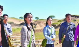 电视剧美丽,命运交织的青春传奇