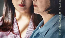 韩国电视剧观看,从热门剧集看韩国文化与社会变迁