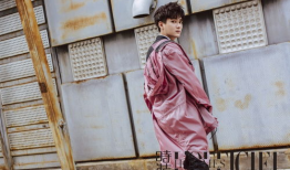 麻豆熊,探索时尚潮流的潮流宠儿