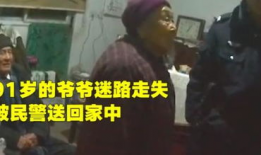 91岁大爷直播间,揭秘传奇人生，传承智慧之光