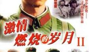 电视剧 热血,激情燃烧的岁月