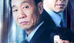 电视剧龙年档案演员表,实力派演员阵容，揭秘神秘档案背后的故事