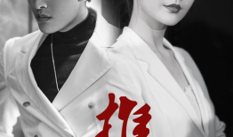 电视剧推手演员表,实力派明星齐聚一堂，演绎人生百态