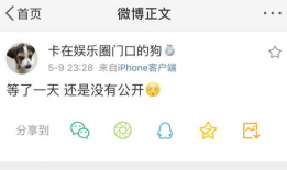 爆料吃瓜网站有哪些,盘点那些让你欲罢不能的爆料平台