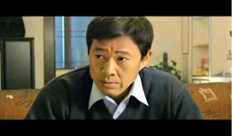 电视剧龙年档案演员表,实力派演员阵容，揭秘神秘档案背后的故事