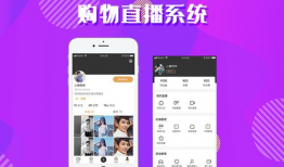 91s直播平台,打造全新娱乐体验的直播盛宴