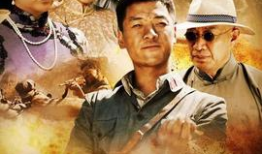 红色电视剧全集在线播放,重温革命岁月，传承红色精神