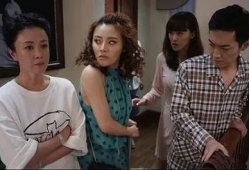 婆媳 电视剧,家庭和谐的密码解码