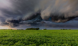 91直播大神康先生,揭秘直播界的传奇人物